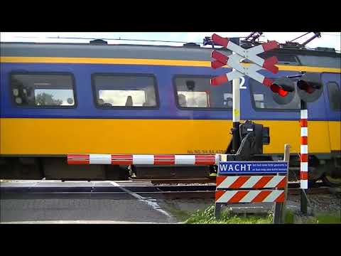 Spoorwegovergang Tynaarlo // Dutch railroad crossing