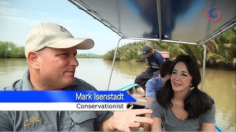 Trang | Traditions using the versatile Nipa Palm