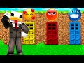 SCEGLI IL SORRISO GIUSTO PER VINCERE SU MINECRAFT