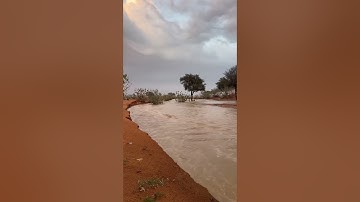 تلاوة نجدية القارئ طارق الفهيقي