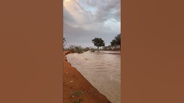تلاوة نجدية القارئ طارق الفهيقي