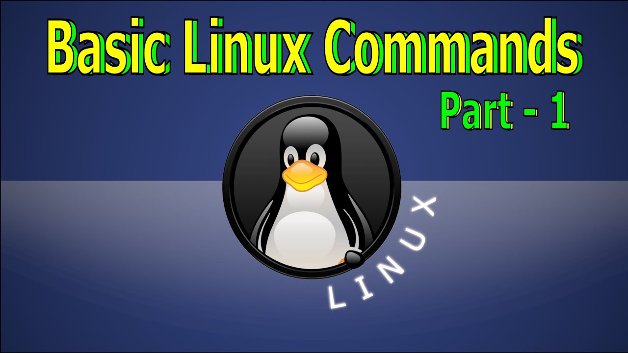 12 | Linux Basic Commands | Part -1 | Linux The KERNEL - YouTube