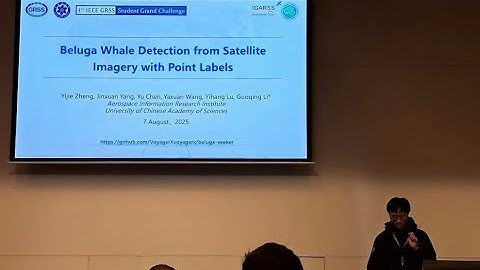 IGARSS 2025 Beluga Whale Detection from Satellite Imagery with Point Labels