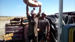 Combo Vine #15