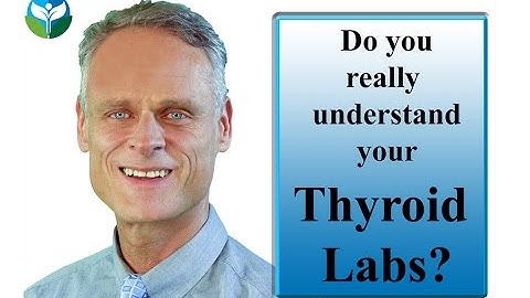 Do you really understand your Thyroid Labs?
