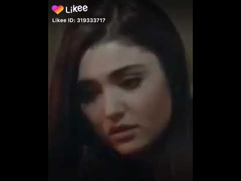 اغنيه فين الحب الحب اللي احنا عشناها
