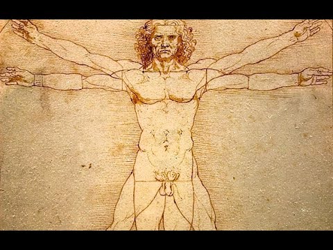 Βίντεο: Ποιο μέρος του ανθρώπινου σώματος μοιάζει με τον χλωροπλάστη;