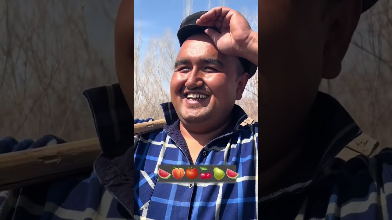 çalışan Uygur kızlar76Working Uyghur girls| فتيات الأويغور العاملات|Ragazze uigure lavoratrici