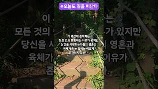 자연과 함께 좋은 글 힐링의 시간 되소서 #먼훗날 #정윤선 #길 #shorts #추억의노래 #7080 #봉숭아학당문화혁신학교 #웃자대한민국