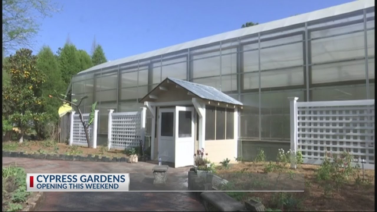 The return of Cypress Gardens