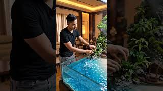 #paludarium #paludariumindonesia #paludariumtank #natureaquarium #miniatureforest #tropicalvibes