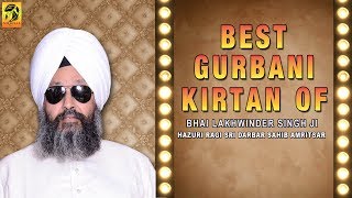Best of Bhai Lakhwinder singh | Hazuri Ragi | Shabads | Gurbani  Kirtan | Devotional