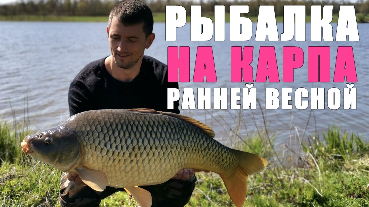 СЕКРЕТЫ и ТОНКОСТИ ловли карпа ранней весной. Рыбалка на карпа. Карпфишинг 2026