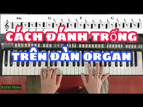 Video Cách ĐÁNH TRỐNG Trên Đàn ORGAN | Ku Tèo Piano. - YouTube