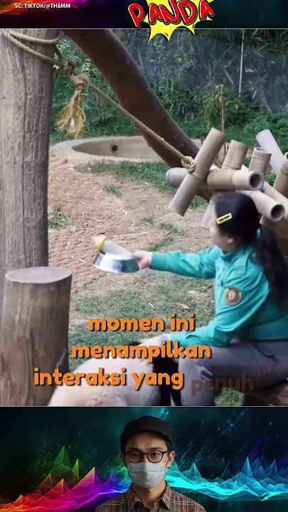 Dua Anak Panda Menyambut Perawat dengan Suka  #2024 #faktaunik #terlucu #viral #faktamenarik #funny