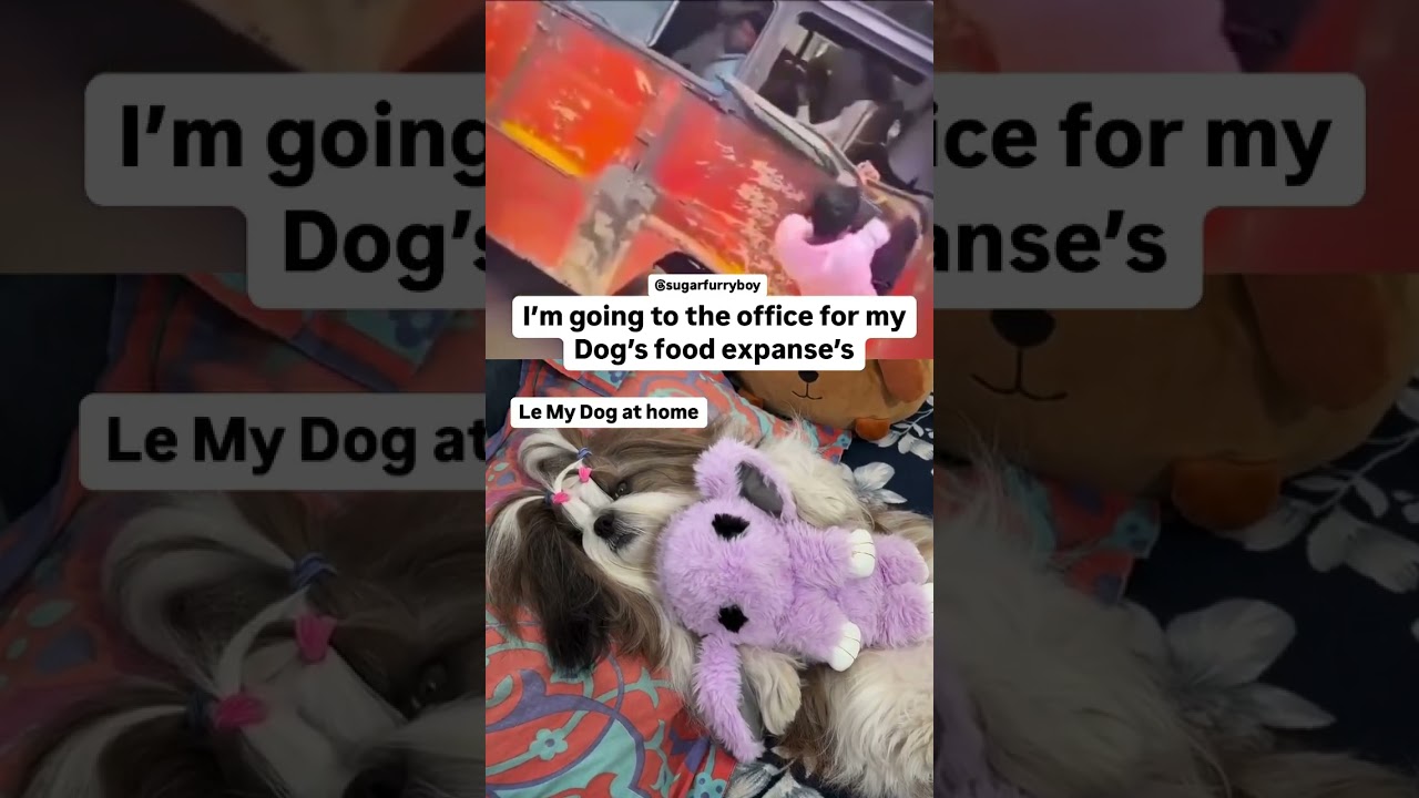 I am going to office for my dog’s food expenses 🥹 