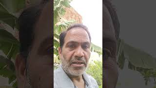 baghbani baghicha
