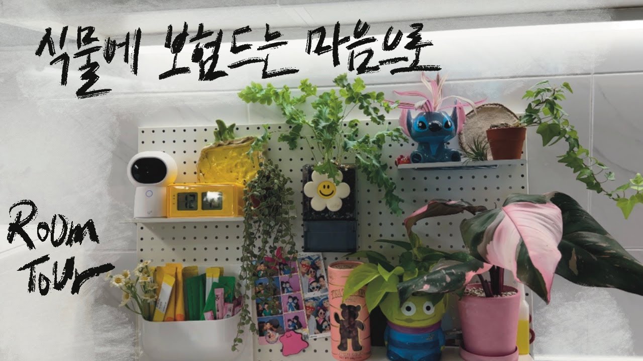 [RoomTour] 혹시나~ 하는 마음에 꺾인 식물 꽂아보기! 죽으면 말고~ 나오면 땡큐! - 알록달록 파주 하우스 마지막 4편