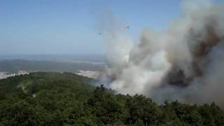 İstanbul Sultanbeyli Aydos Tepesi Orman Yangın Söndürme Çalışmaları Resimi