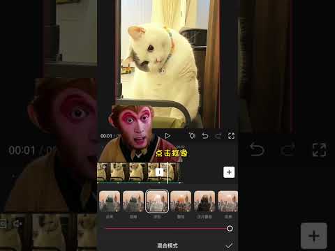 剪映寵物填空定格教程 | 免費剪輯教學|教學簡單 | 一看就會 | 一部手機 | 輕鬆搞定 #手機剪輯 #剪映 #寵物 #定格動畫