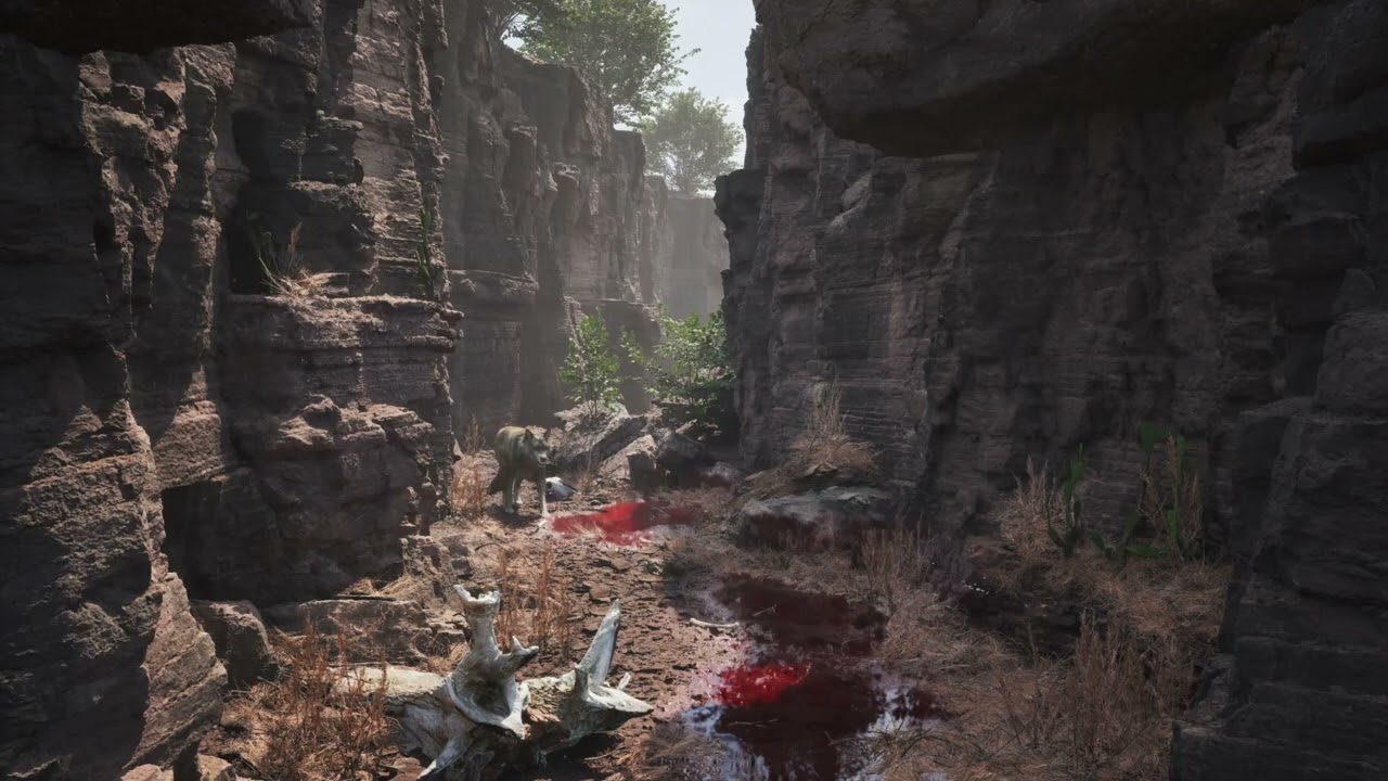 Canyon Wolf made in Unreal Engine