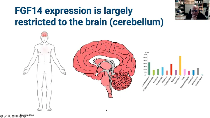 Research and Treatment Development for SCA27B