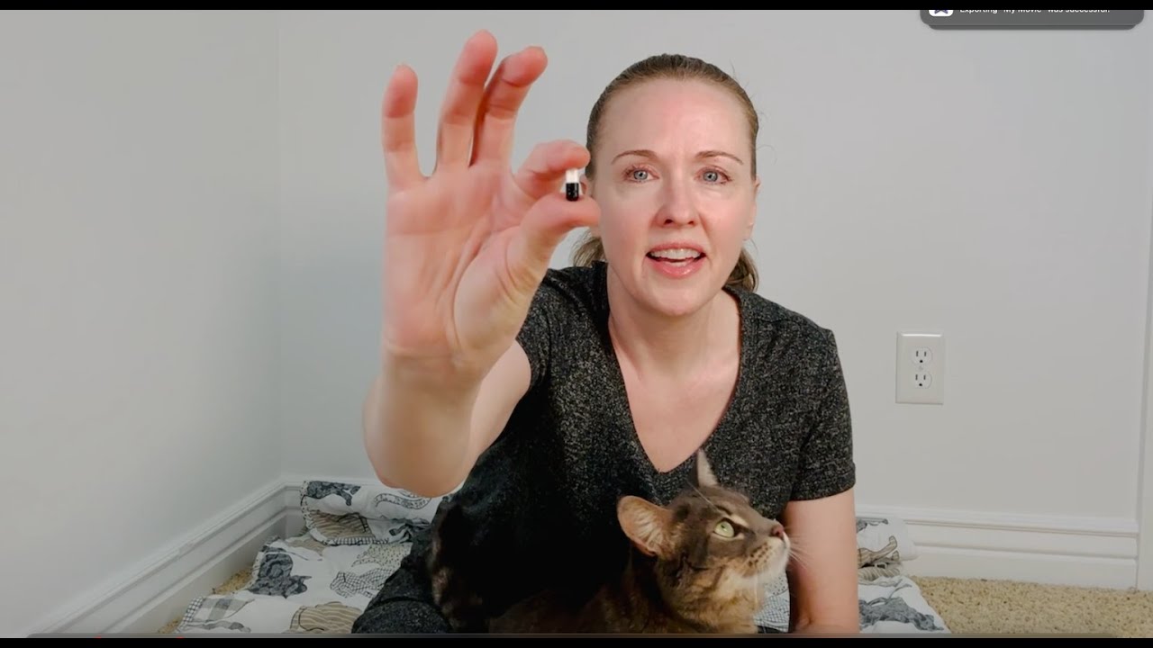 How to pill a difficult FIP cat with the capsules