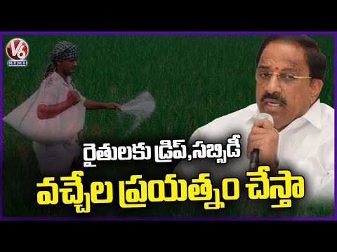 Will Try To Come Drip Subsidy For Farmers, Says Minister Thummala Nageshwar Rao |  V6 News - V6NEWSTELUGU