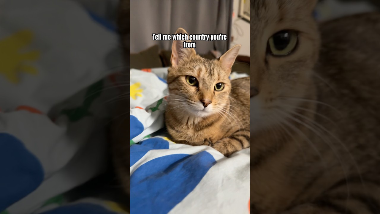 Могу я угадать? 