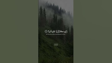 {وَإِذۡ تَأَذَّنَ رَبُّكُمۡ لَىِٕن شَكَرۡتُمۡ لَأَزِیدَنَّكُمۡ} | محمد صديق المنشاوي | سورة إبراهيم.