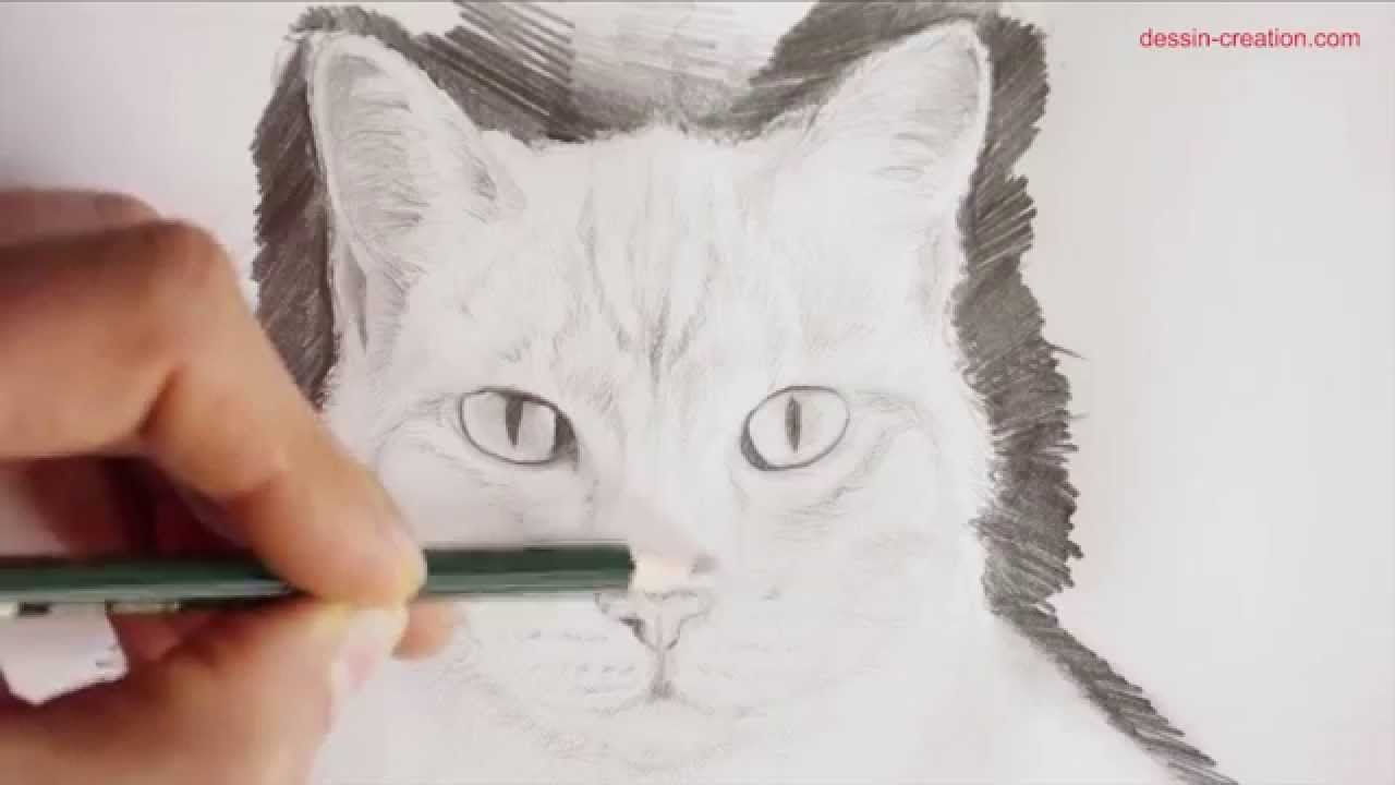 Tuto Comment Dessiner Un Chat De Face Episode 3 Technique Simple Par Leo Dessin Youtube