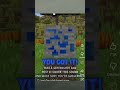 GOT IT #minecraft #stop