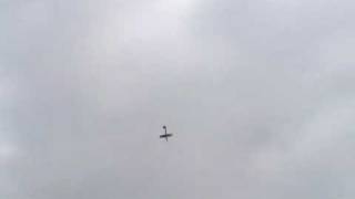 Pipistrone Performance Blanik L213