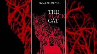 The Black Cat | Edgar Allan Poe | Audio Book by Eric Widing 49 views 10 months ago 27 minutes