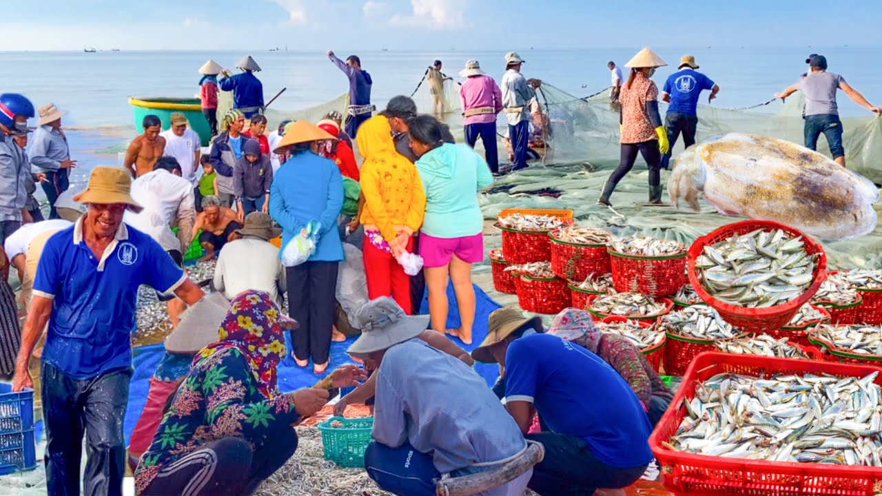 Làng Chài “Đèo Nước Ngọt” Long Hải | Ghẹ Xanh Lưới Chỉ 140k/kg