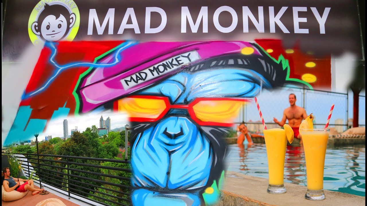 MAD MONKEY HOSTEL CEBU CITY  BACKPACKERS CHOICE! |Cykaniki