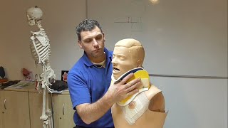 Cervical Collar