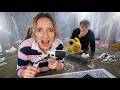 streams flood apartment