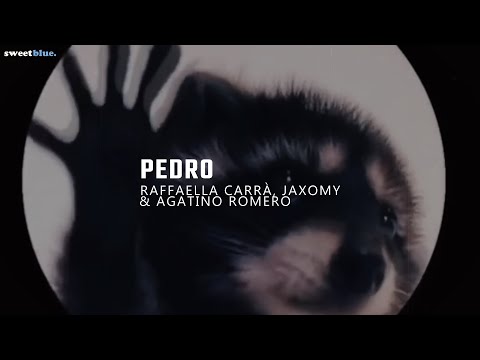 La Canción De Pedro | Pedro - Raffaella Carrà, Jaxomy, Agatino Romero