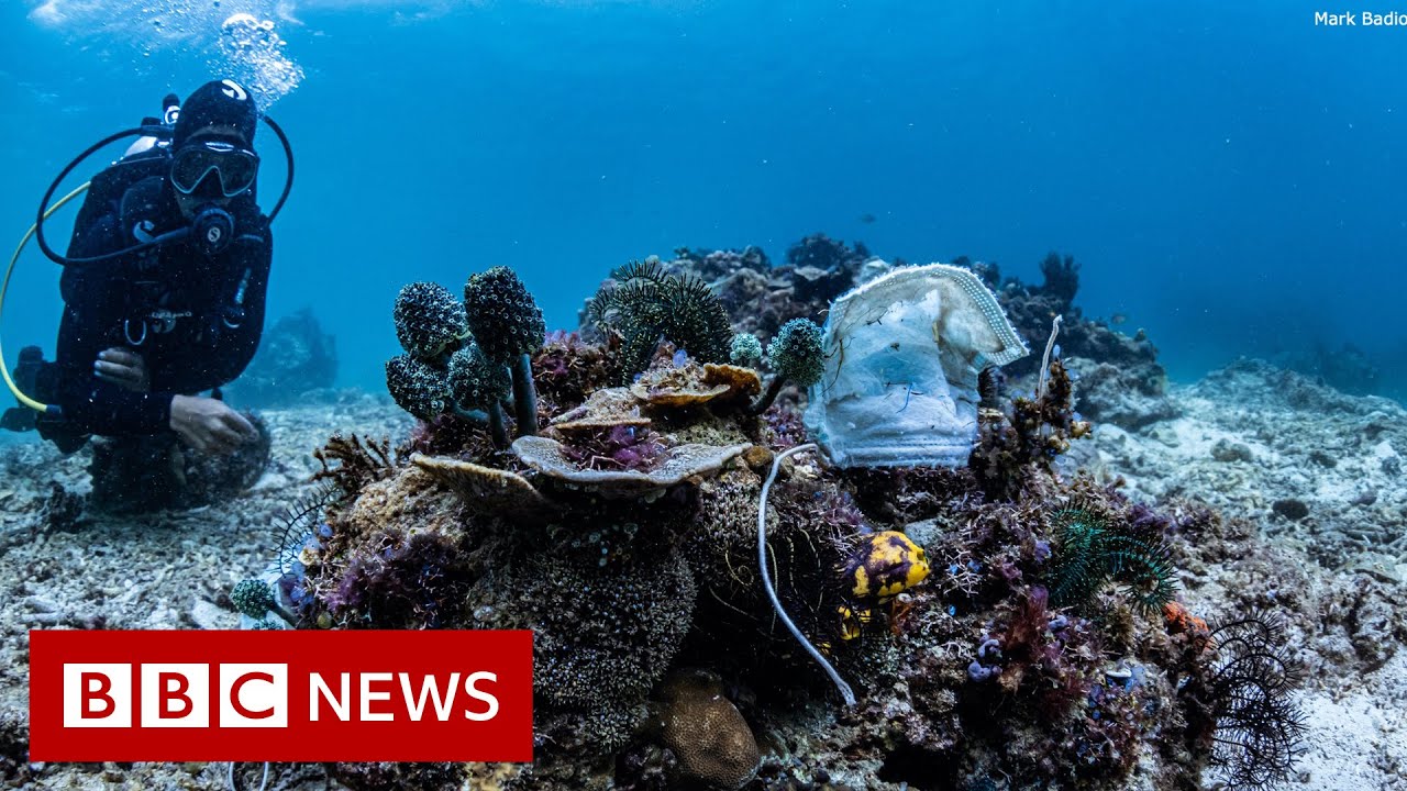 Philippines reef littered with face masks - BBC News