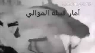 👑قصيدة أحد أمراء قبيلة الموالي الامير فياض الكنج آلَبــوٌريــشــهّ👑