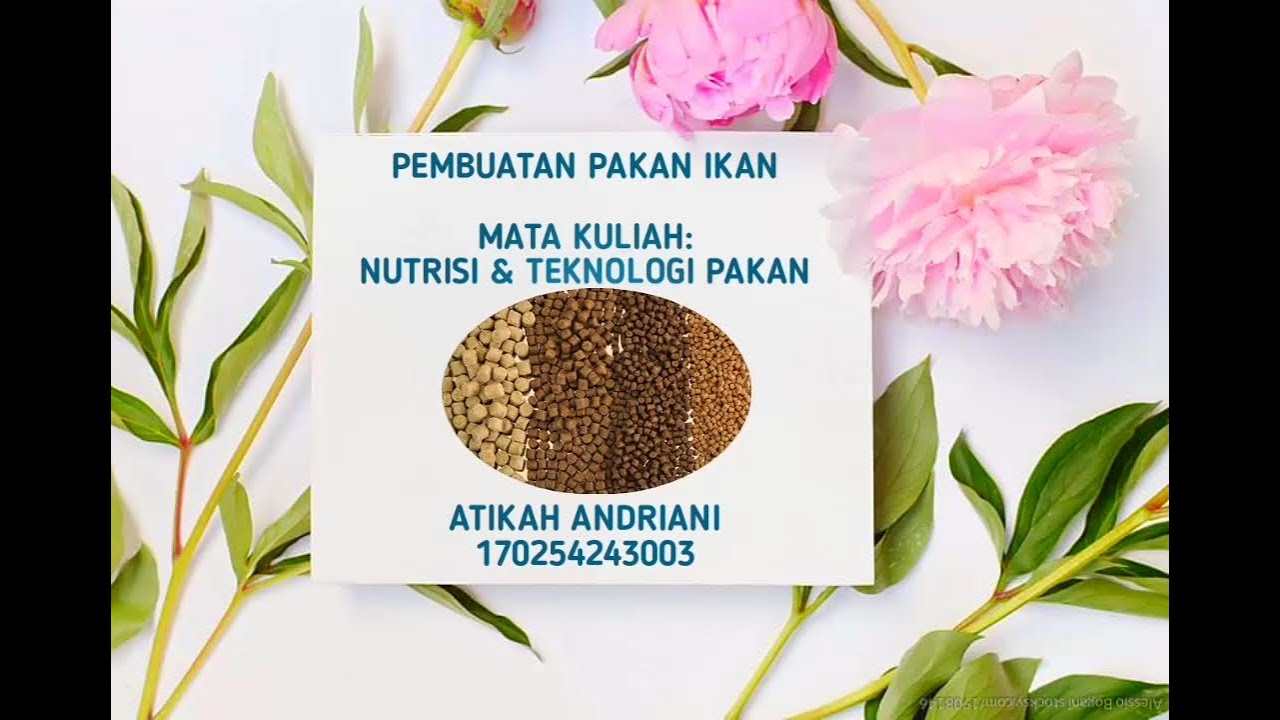 Pakan Khusus Untuk Ikan Herbivora, Karnivora, Dan Omnivora Pakan Khusus Untuk Ikan Herbivora, Karnivora, Dan Omnivora