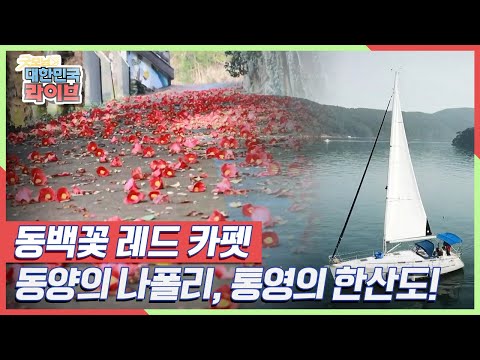 [섬 마이웨이] 동백꽃 레드 카펫♥ 봄 내음 가득 밥상♨ 동양의 나폴리, 통영의 한산도! KBS 210319 방송