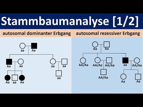 Stammbaumanalyse [1/2] - autosomal dominante bzw. rezessive Erbgänge [Biologie, Oberstufe, Genetik]