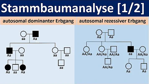 Woher weiß ich welches Allel dominant ist?