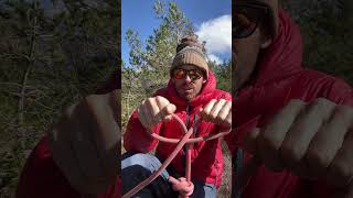 How I teach tying a clove hitch. Climbing knots! #climbing #shorts