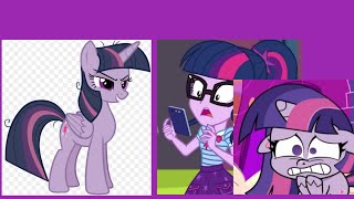 Mean Twilight Sparkle Beats Up 2 Twilight Sparkles And Gets Grounded