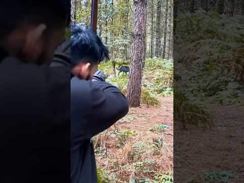 Aimed A Bit Too Hight Shorts