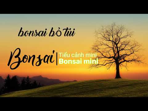 Sự kiện trực tiếp của Bonsai Bỏ Túi