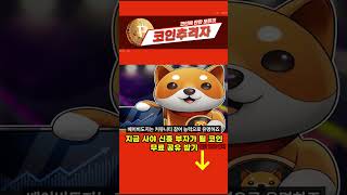 [베이비도지 전망]&#39;10월&#39;에 &#39;100배 상승&#39; 합니다 베이비도지 10월에 &#39;100억 부자&#39; 됩니다